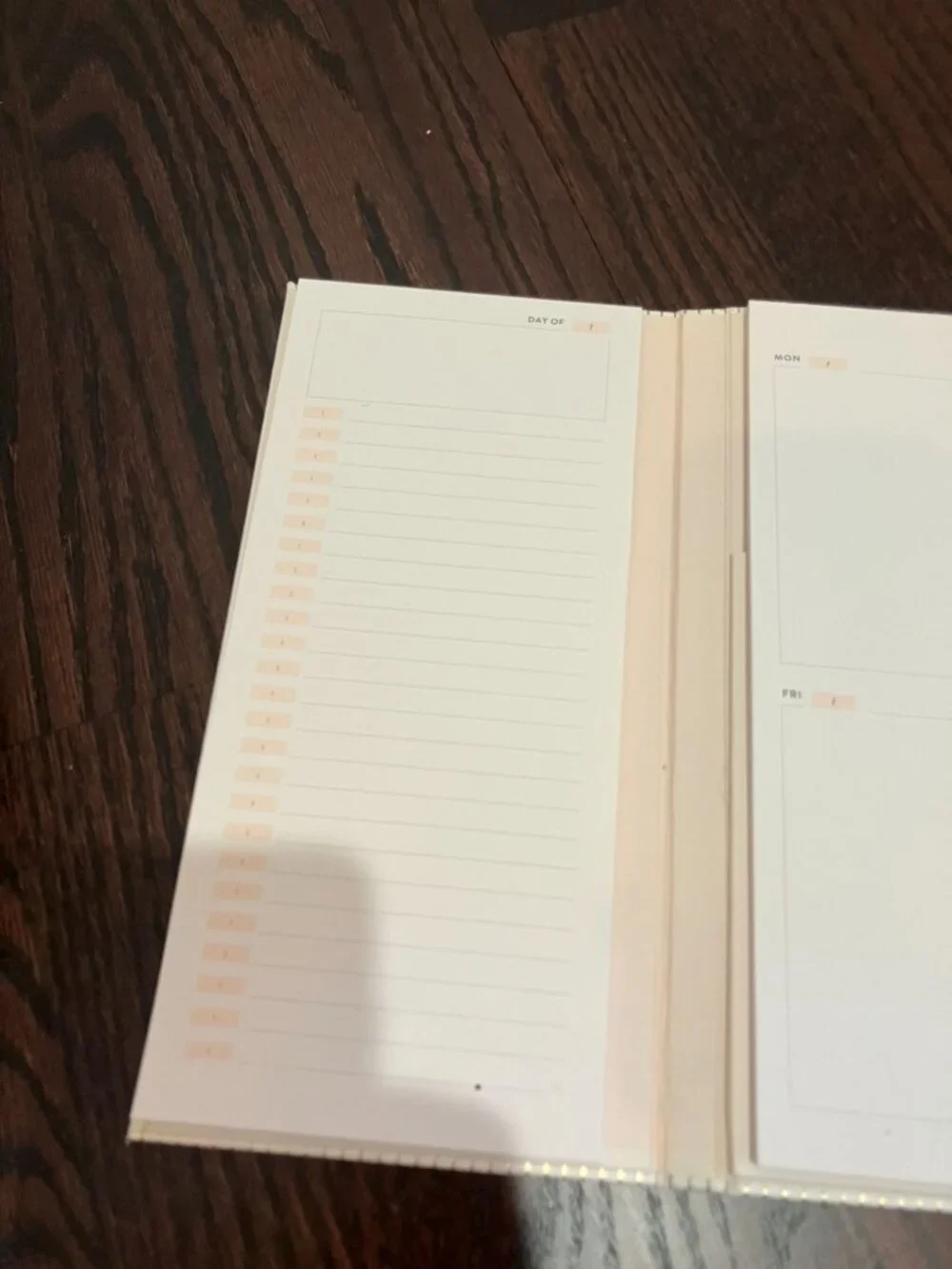 Erin Condren Focused Edition Padfolio, Vegan Leather, Pinstripe, New